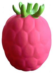 Gerardo’s Toys Χοπ Χοπ Φρουτάκι Raspberry για 1+ έτους Ροζ από το Plus4u