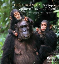 Οι νεαροί χιμπαντζήδες του Γκόμπε από το Ianos