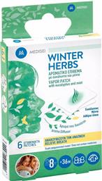 Medisei Winter Herbs Αρωματικό Επίθεμα με Ευκάλυπτο και Μέντα 6τμχ