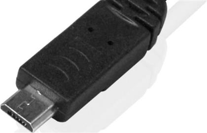 Powertech Micro USB male (PT-278) από το Public