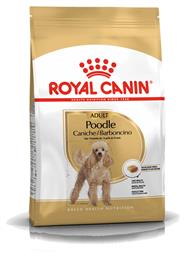 Poodle Adult 1.5kg Ξηρά Τροφή για Ενήλικους Σκύλους Μικρόσωμων Φυλών με Πουλερικά και Ρύζι Royal Canin από το Plus4u