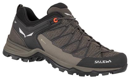 Salewa MTN Trainer Lite GTX Ανδρικά Ορειβατικά Παπούτσια με Μεμβράνη Gore-Tex Καφέ από το MybrandShoes